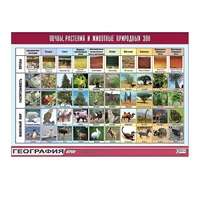 Таблица демонстрационная "Почвы, растения и животные природных зон" (винил 100x140) - «globural.ru» - Новый Уренгой