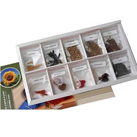 Коллекция "Плоды сельскохозяйственных растений" (вариант 2) - «globural.ru» - Новый Уренгой