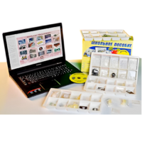 Коллекция натурально-интерактивная "Пластмассы" - «globural.ru» - Новый Уренгой