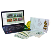 Гербарий натурально-интерактивный "Лекарственные растения" - «globural.ru» - Новый Уренгой