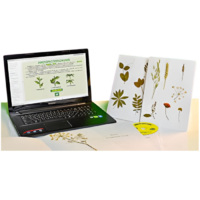 Гербарий натурально-интерактивный "Морфология растений" - «globural.ru» - Новый Уренгой