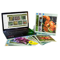 Гербарий натурально-интерактивный "Основные группы растений. Грибы. Лишайники" - «globural.ru» - Новый Уренгой