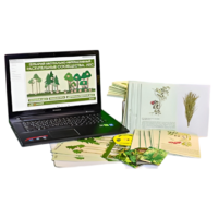 Гербарий натурально-интерактивный "Растительные сообщества. Лес" - «globural.ru» - Новый Уренгой