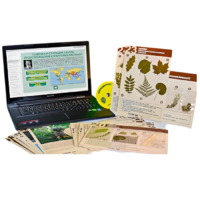 Гербарий натурально-интерактивный к курсу основ общей биологии - «globural.ru» - Новый Уренгой