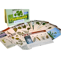 Гербарий к курсу основ общей биологии - «globural.ru» - Новый Уренгой