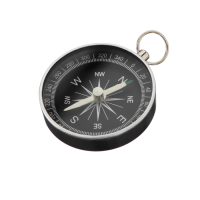 Компас (вариант 1) - «globural.ru» - Новый Уренгой