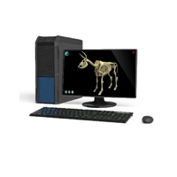 Макет масштабный «Скелет Коровы» Масштаб 1:2 - «globural.ru» - Новый Уренгой