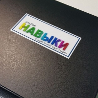 Навыки социальной адаптации. Развивающие пособие на липучках  - «globural.ru» - Новый Уренгой