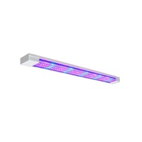 Фитолампа - «globural.ru» - Новый Уренгой
