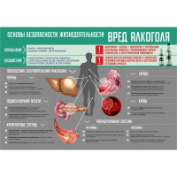 Стенд "Алкоголь" - «globural.ru» - Новый Уренгой
