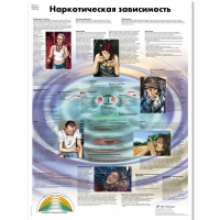 Плакат "Наркотическая зависимость", ламинированный, 50*67 см - «globural.ru» - Новый Уренгой