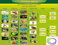 Стенд "Систематика животных" - «globural.ru» - Новый Уренгой