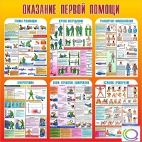Стенд "Оказание первой помощи" - «globural.ru» - Новый Уренгой