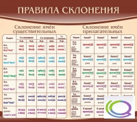 Стенд "Правила склонения" - «globural.ru» - Новый Уренгой