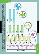 Химия. 10 - 11 класс (комплект таблиц). - «globural.ru» - Новый Уренгой