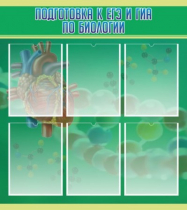 Стенд "Подготовка к ЕГЭ и ОГЭ по биологии" (вариант 1) - «globural.ru» - Новый Уренгой