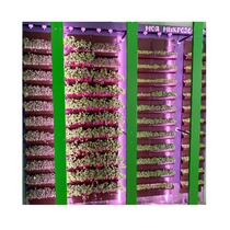 Вертикальная ферма "Моя Микрозелень" комплектация Школьная - «globural.ru» - Новый Уренгой