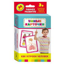 Карточки Домана "Как устроен человек" - «globural.ru» - Новый Уренгой