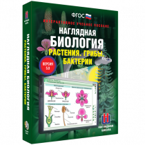 Наглядная биология. Растения. Грибы. Бактерии - «globural.ru» - Новый Уренгой