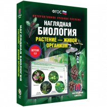 Наглядная биология. Растение - живой организм - «globural.ru» - Новый Уренгой