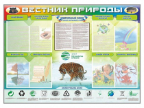 Стенд-уголок "Вестник природы" (вариант 1) - «globural.ru» - Новый Уренгой