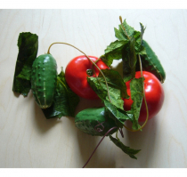 Ветка муляжей "Ассорти" (овощи) - «globural.ru» - Новый Уренгой