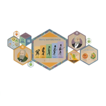 «Стендум - Биология» - набор информационно-методических панелей (10 шт.) - «globural.ru» - Новый Уренгой