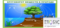 Стенд "Круговорот веществ" - «globural.ru» - Новый Уренгой