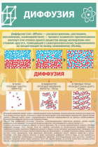 Стенд "Диффузия" - «globural.ru» - Новый Уренгой