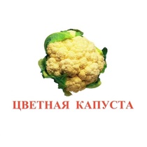 Карточки Домана "Овощи-Зелень-2" - «globural.ru» - Новый Уренгой