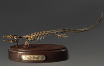 Модель скелета мозазавра Mosasaurus - «globural.ru» - Новый Уренгой