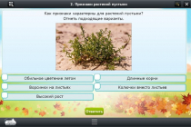 Интерактивные курсы. Окружающий мир 3 класс. Базовый - «globural.ru» - Новый Уренгой