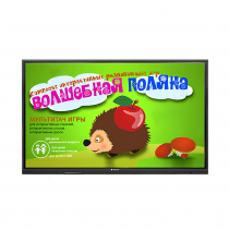 Интерактивная сенсорная панель 65" (UHD 4K) - «globural.ru» - Новый Уренгой