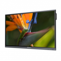 Интерактивный программно-аппаратный комплекс Geckotouch Interactive Pro IP75HT-E в комплекте с настенным креплением - «globural.ru» - Новый Уренгой