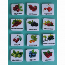 Набор карточек "Ягоды" - «globural.ru» - Новый Уренгой