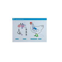 Стенд-планшет светодинамический "Изучение органов дыхания сельскохозяйственных животных" со сменными панелями - «globural.ru» - Новый Уренгой