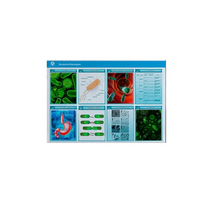 Стенд-планшет светодинамический «Изучение экологии бактерий» - «globural.ru» - Новый Уренгой