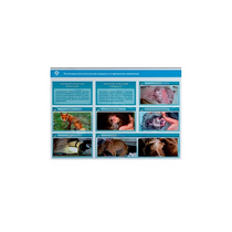 Стенд-планшет светодинамический "Изучение типических патологических процессов в организмах животных" - «globural.ru» - Новый Уренгой