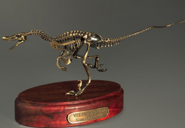 Модель скелета динозавра Velociraptor - «globural.ru» - Новый Уренгой