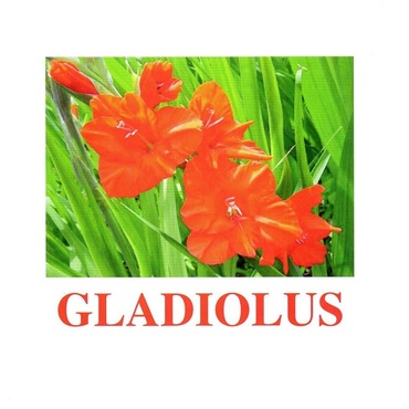 "Flowers-1" ("Цветы-1") английские карточки Домана - «globural.ru» - Новый Уренгой