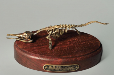 Модель скелета ихтиозавра Ichthyosaurus - «globural.ru» - Новый Уренгой
