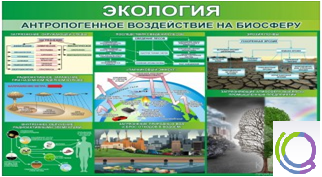 Стенд "Экология. Антропогенное воздействие на биосферу" - «globural.ru» - Новый Уренгой