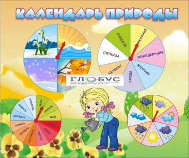 Стенд "Календарь природы" (вариант 1) - «globural.ru» - Новый Уренгой