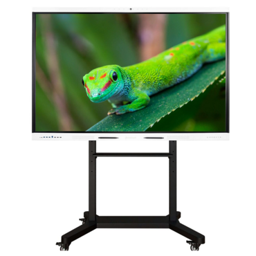Интерактивный комплекс Geckotouch ​​​​​​​75RK - «globural.ru» - Новый Уренгой