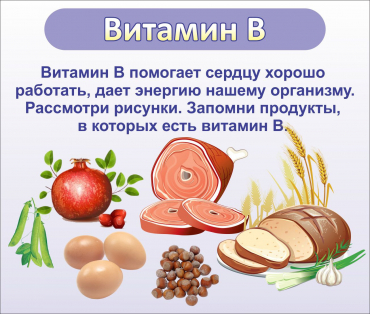 Стенд "Витамин В" - «globural.ru» - Новый Уренгой