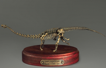 Модель скелета динозавра Diplodocus (вариант 1) - «globural.ru» - Новый Уренгой