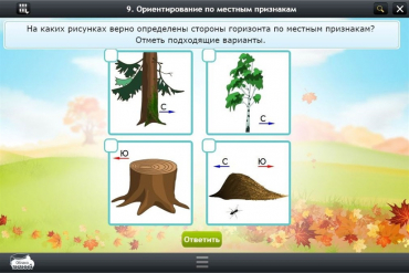 Интерактивные курсы. Окружающий мир 1 класс. Базовый - «globural.ru» - Новый Уренгой