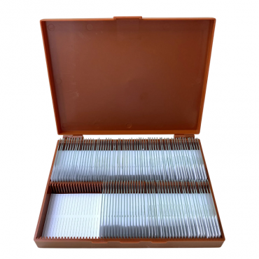 Комплект микропрепаратов по анатомии, ботанике, зоологии, общей биологии - «globural.ru» - Новый Уренгой