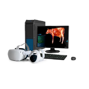 Интерактивный учебный комплекс «Анатомия Коровы» - «globural.ru» - Новый Уренгой