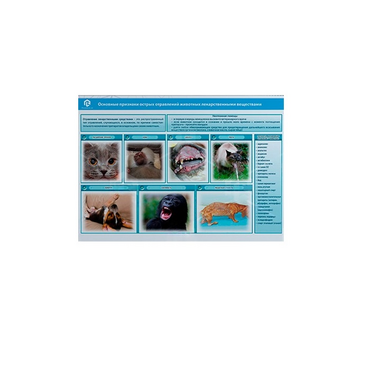 Стенд-планшет светодинамический «Острые отравления животных лекарственными препаратами» - «globural.ru» - Новый Уренгой